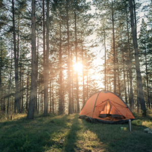 Flor wishes for a camping gear.